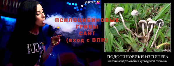 эйфоретик Ельня