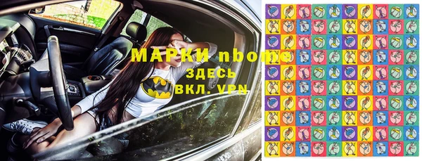эйфоретик Ельня