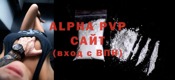 эйфоретик Ельня