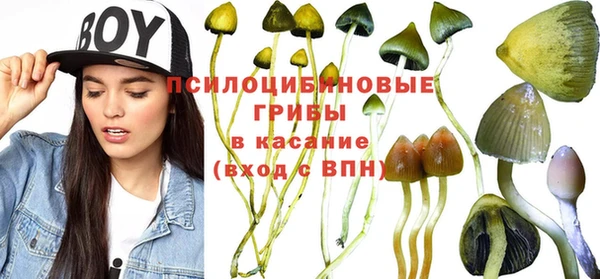 mdpv Елизово