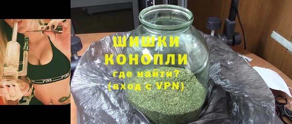 эйфоретик Ельня