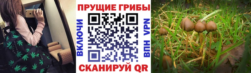 kraken ONION  Воскресенск  Галлюциногенные грибы ЛСД 